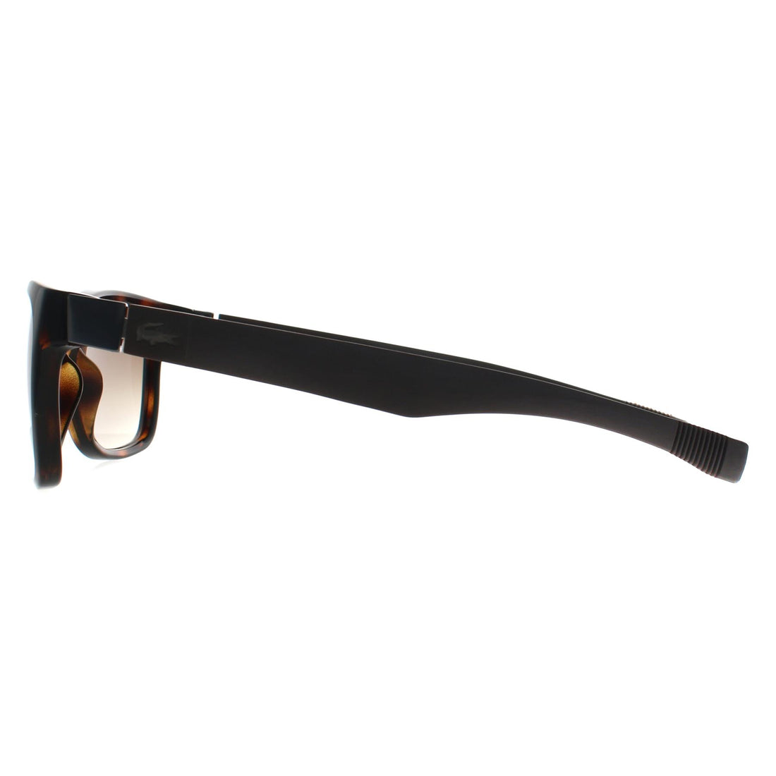 Lacoste Sunglasses L662S 214 Havana Brown Gradient