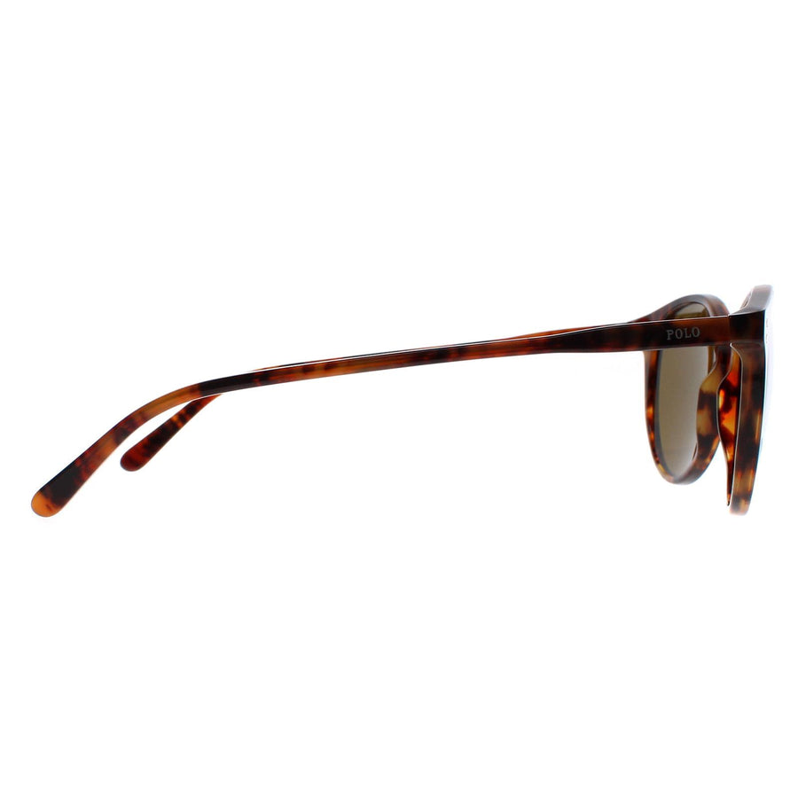 Polo Ralph Lauren Sunglasses 4110 501773 Havana Brown