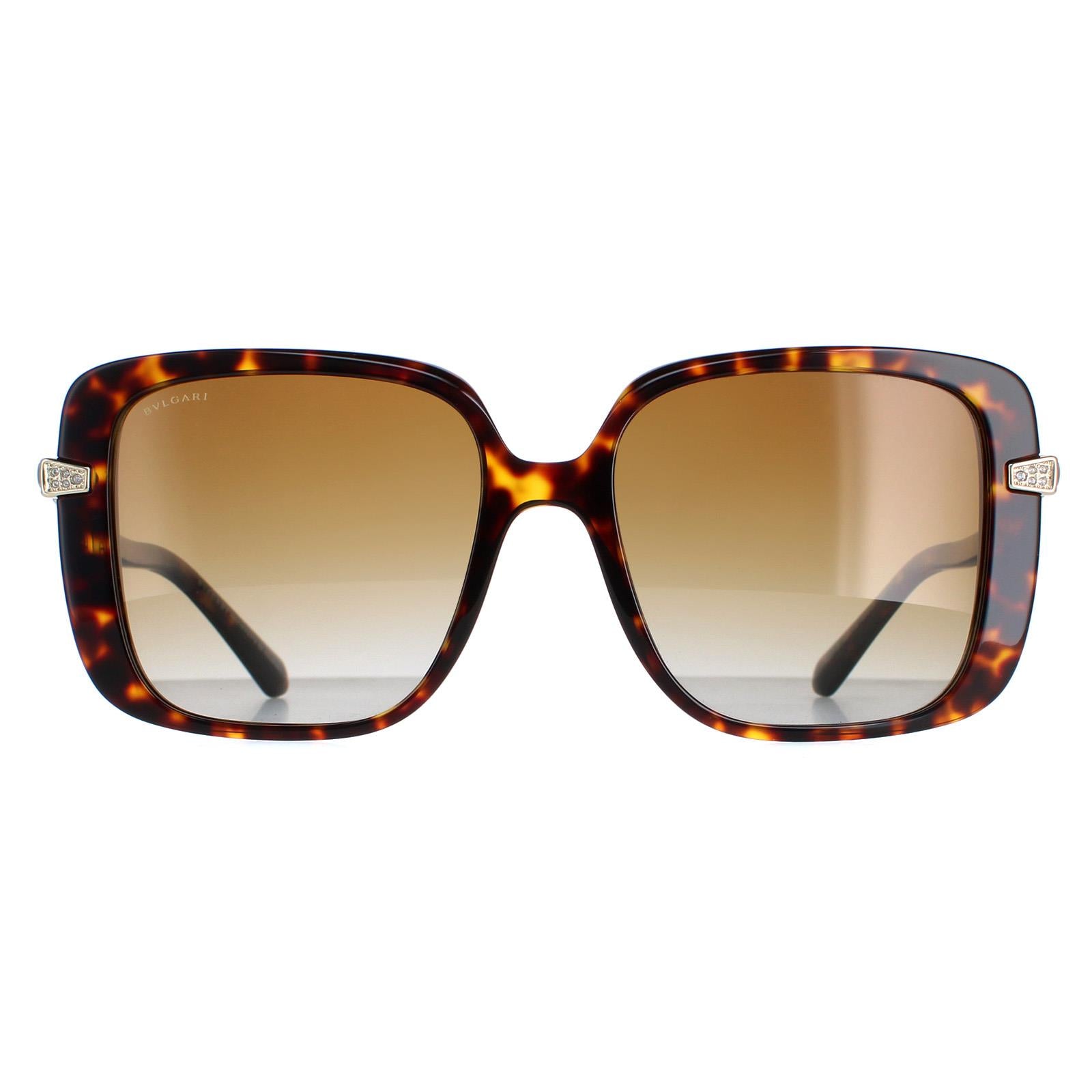 Sunglasses BV8237B 504 T5 Havana Gradient Polarized