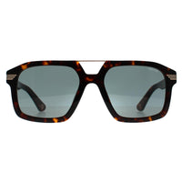 Police Sunglasses SPLP28M Forty 1 0722 Shiny Dark Havana Grey Green