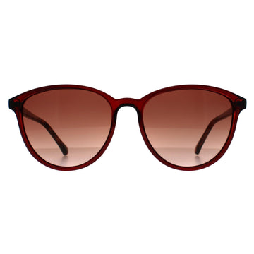 Ted Baker Sunglasses TB1442 Tierney 200 Burgundy Brown Gradient