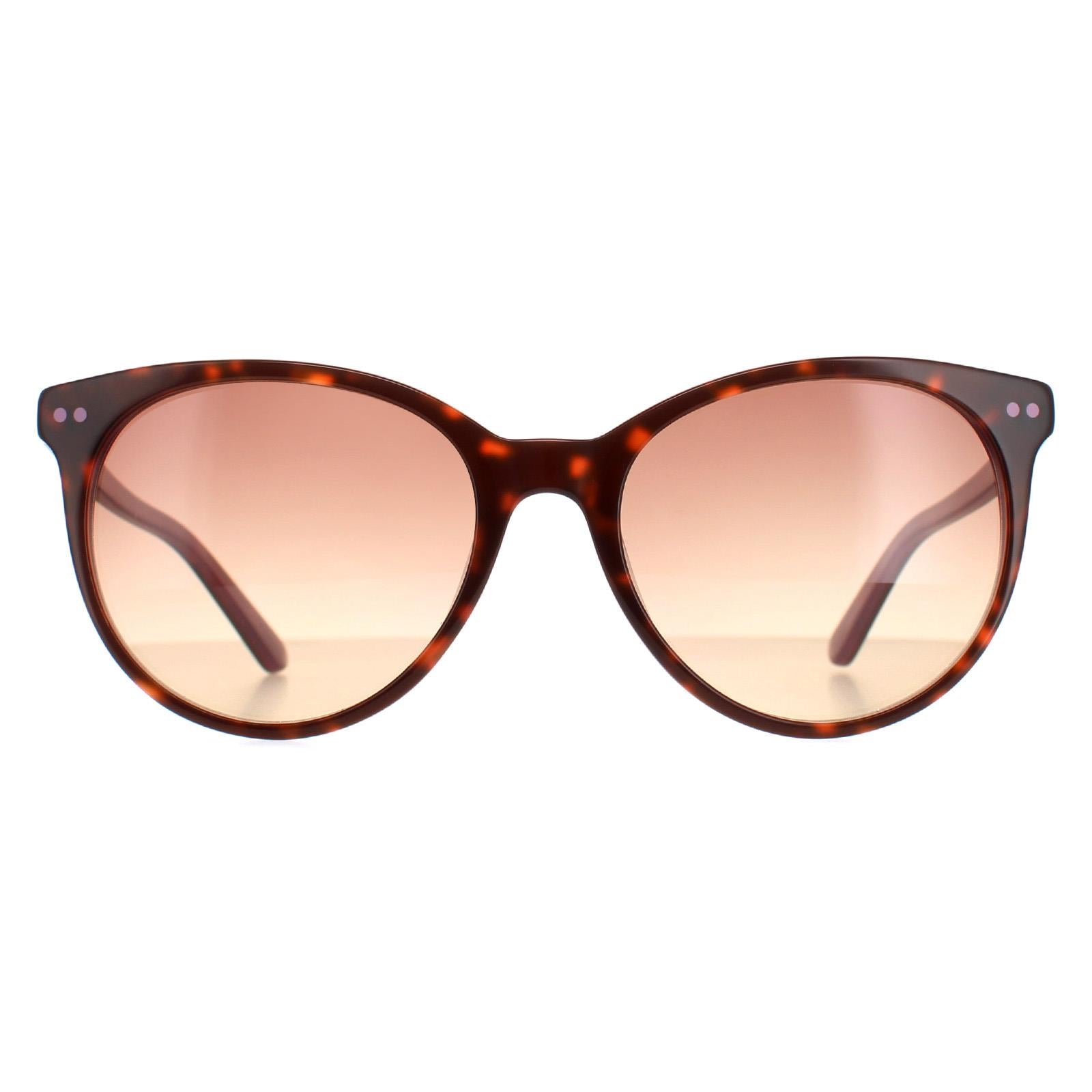 Sunglasses CK18509S 238 Tortoise Milky Brown