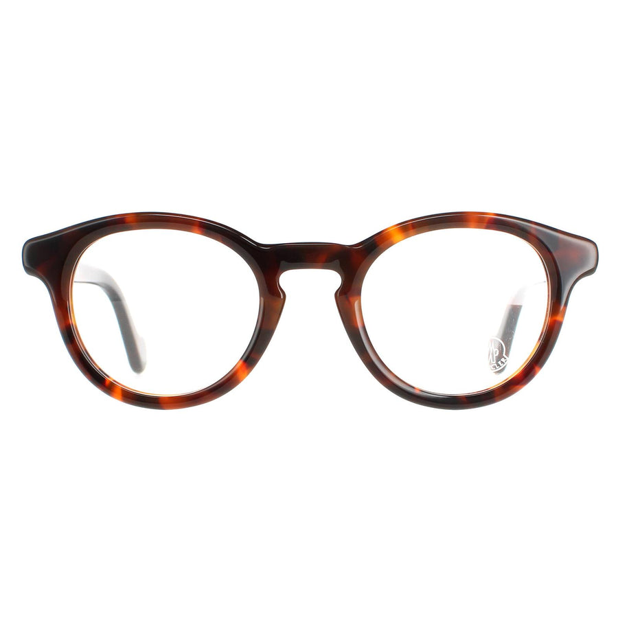 Moncler ML5002 Glasses Frames Dark Havana