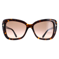 Tom Ford Sunglasses Maeve FT1008 52F Dark Havana Brown Gradient