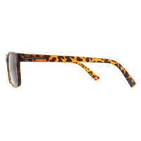 Montana Sunreaders MR73AS Havana Green Readers +3.00