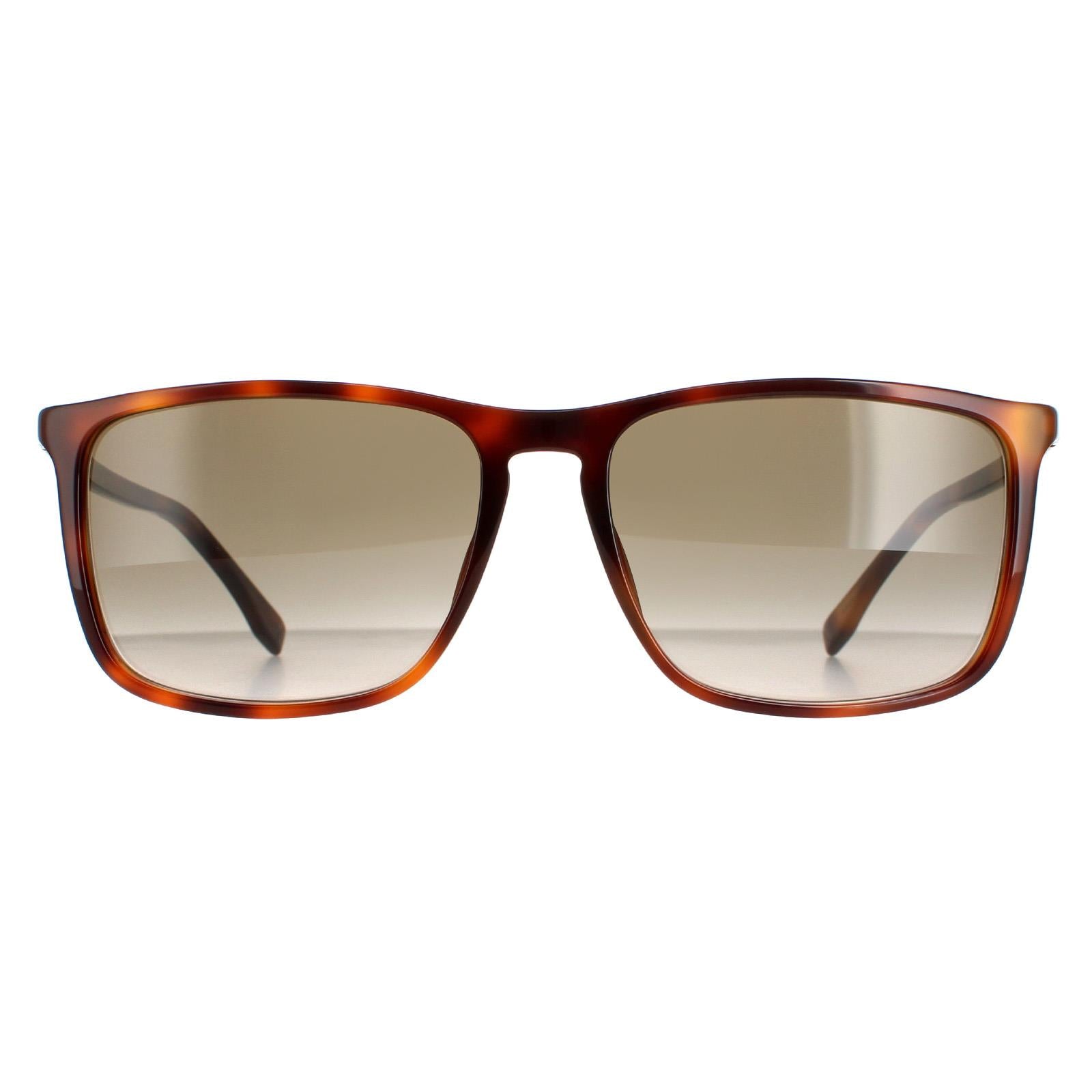 Sunglasses 0665 S IT 086 HA Havana Gradient
