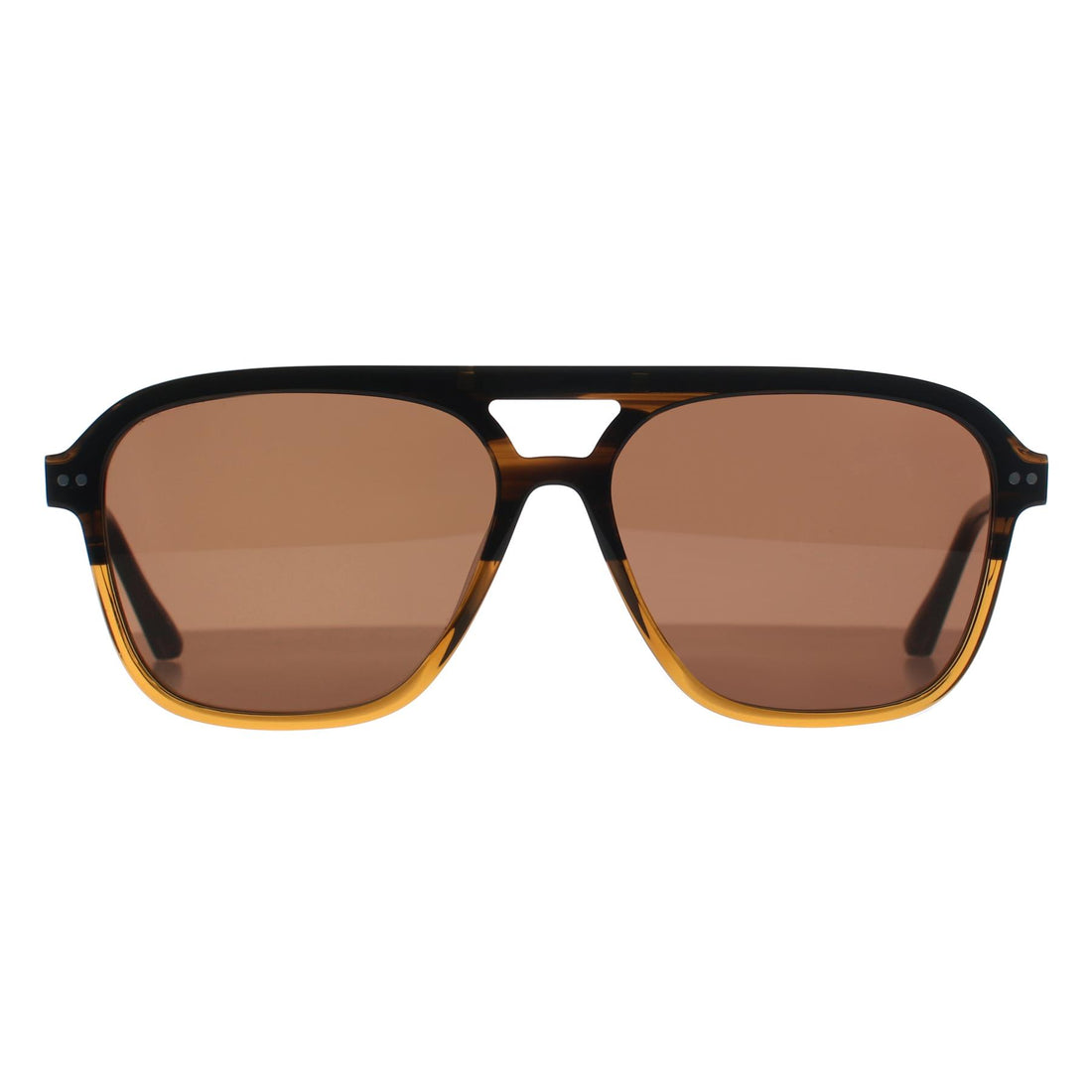 Ted Baker Sunglasses TB8259 122 Brown Horn Gradient Brown