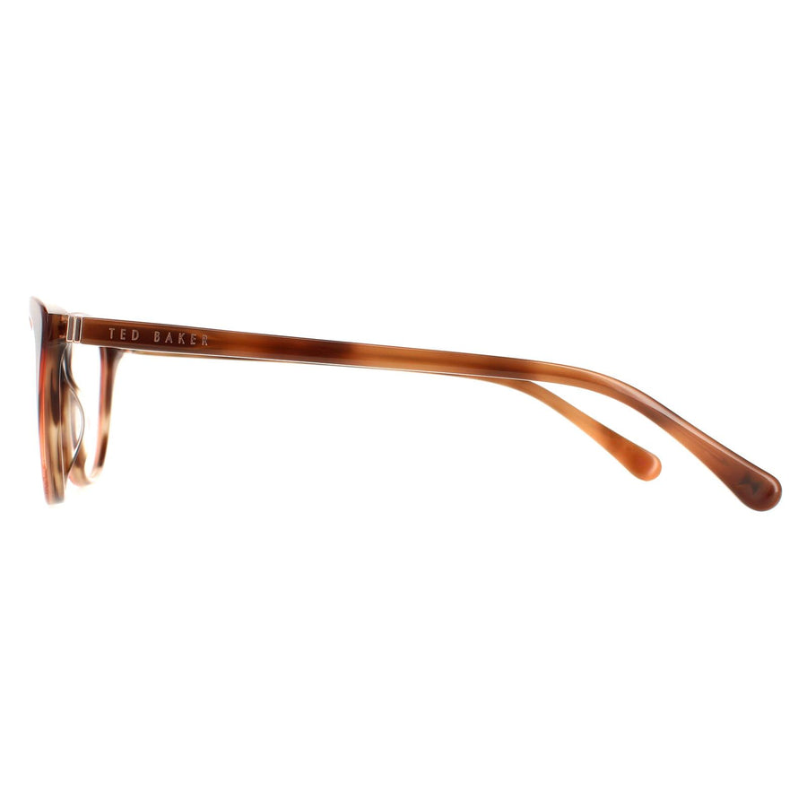 Ted Baker Glasses Frames TB9194 Noella 296 Brown Women