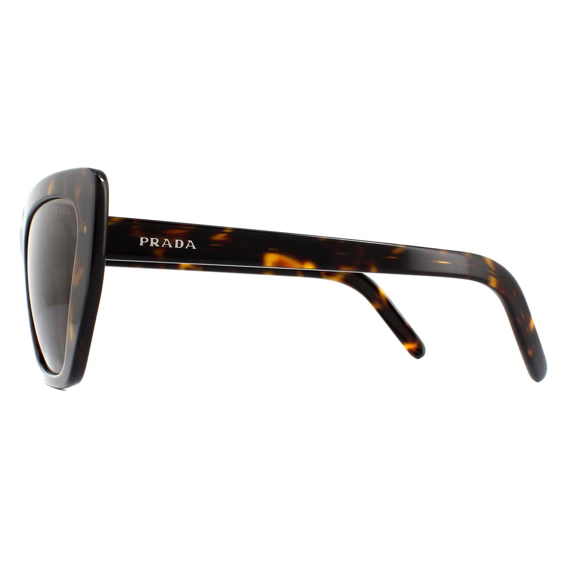 Prada Sunglasses PR08VS 2AU8C1 Havana Brown