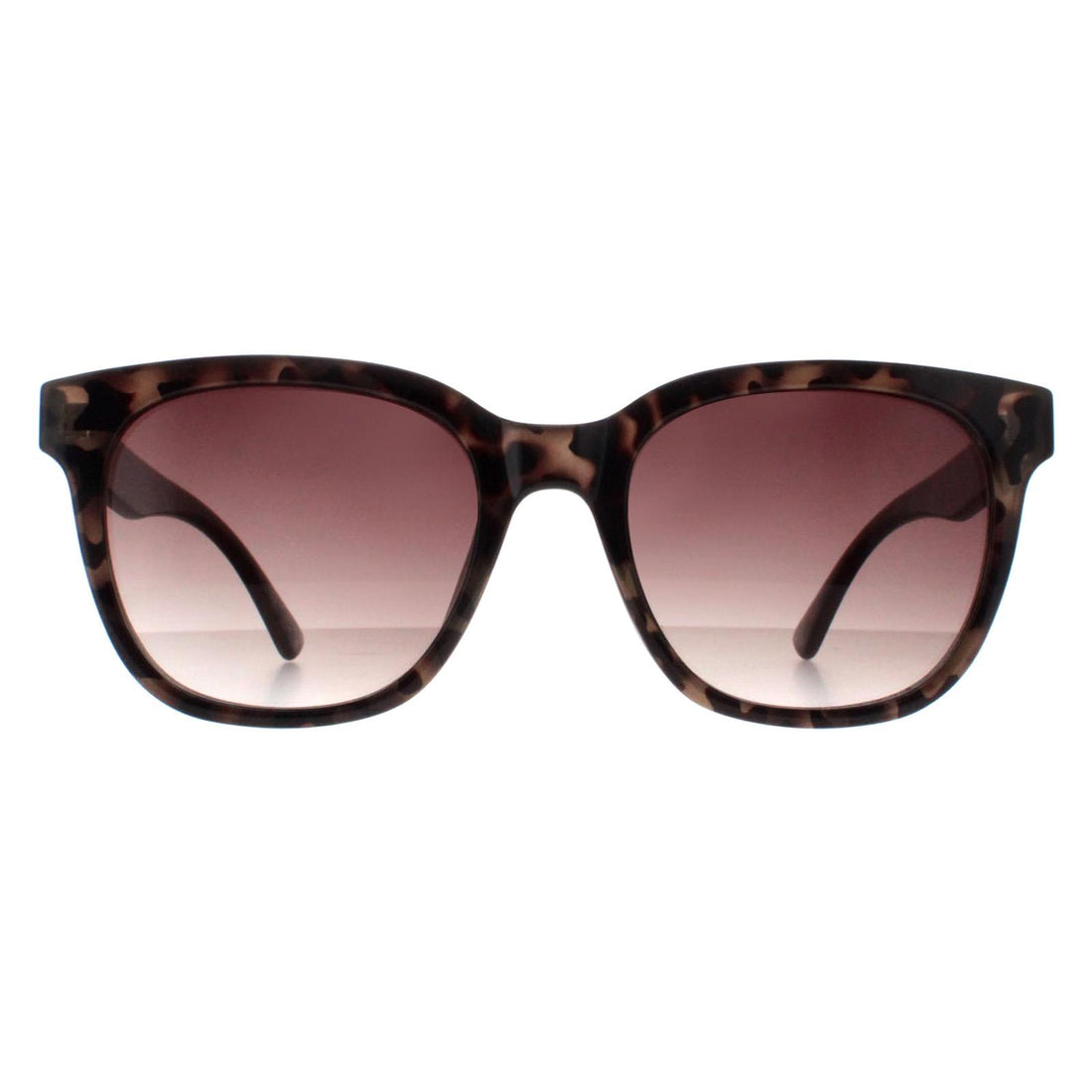 Smarty Sunglasses X2121 B Grey Demi Tortoise Grey