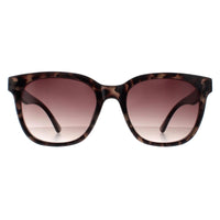 Smarty Sunglasses X2121 B Grey Demi Tortoise Grey
