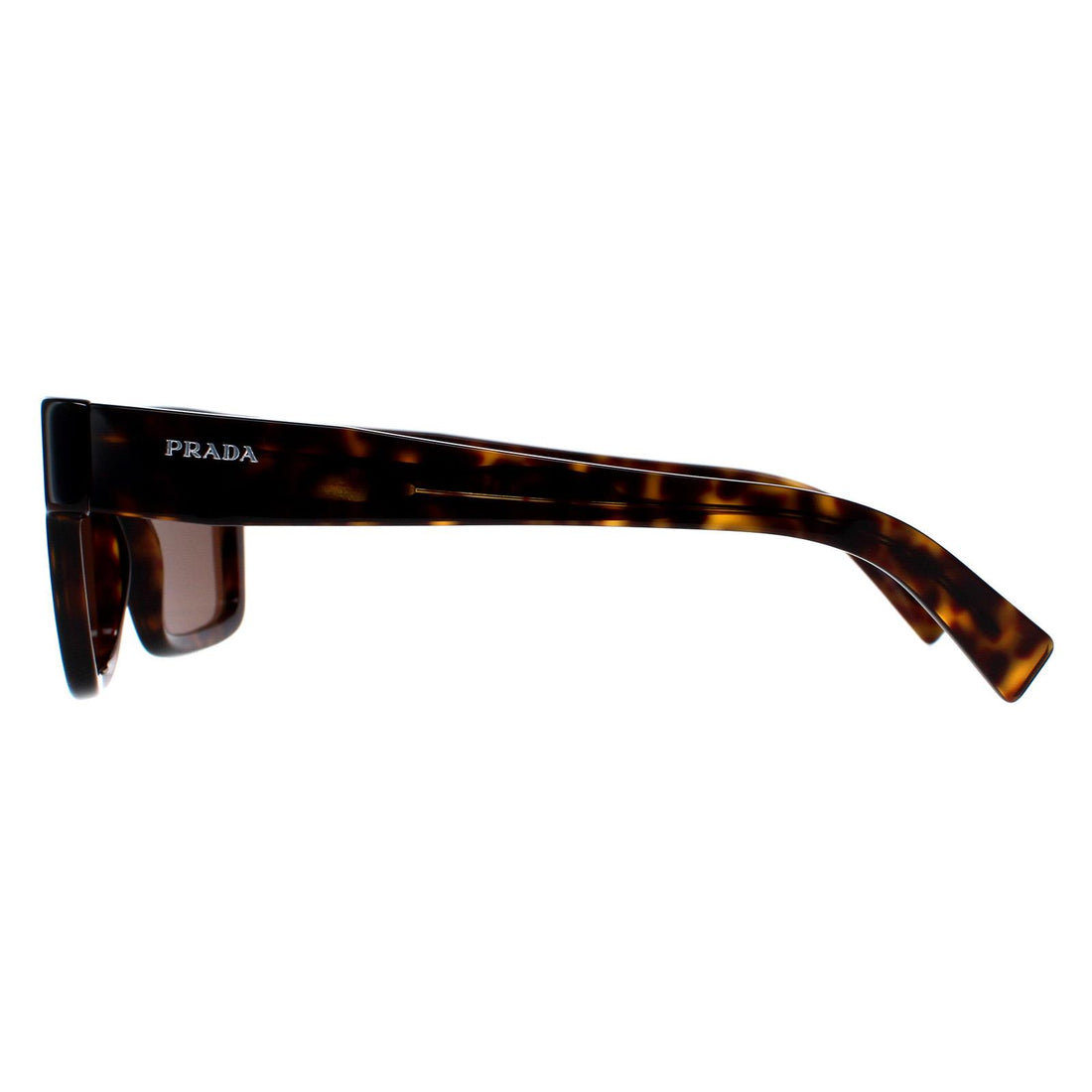 Prada Sunglasses PR19WS 2AU8C1 Tortoise Dark Brown