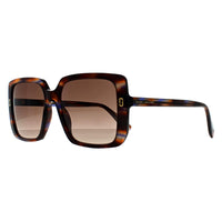 Marc Jacobs Sunglasses MJ 1121/S IWF HA Horn Brown Gradient