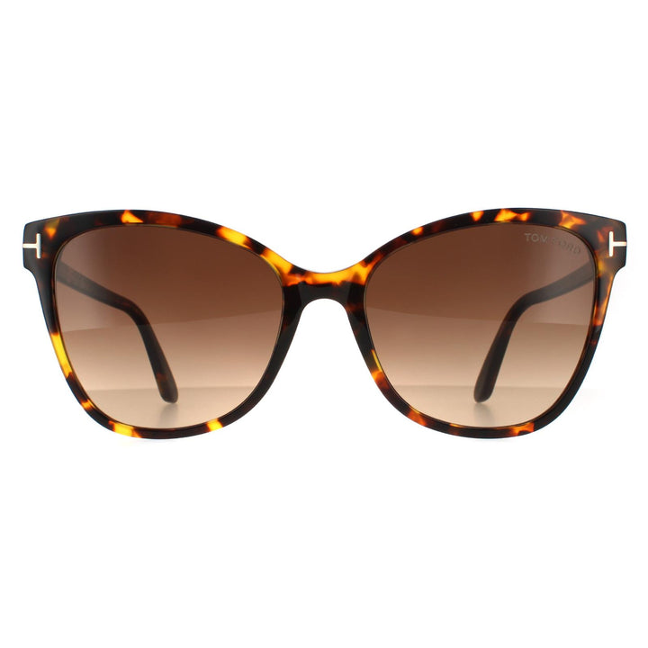 Tom Ford Sunglasses Ani FT0844 52F Dark Havana Brown Gradient