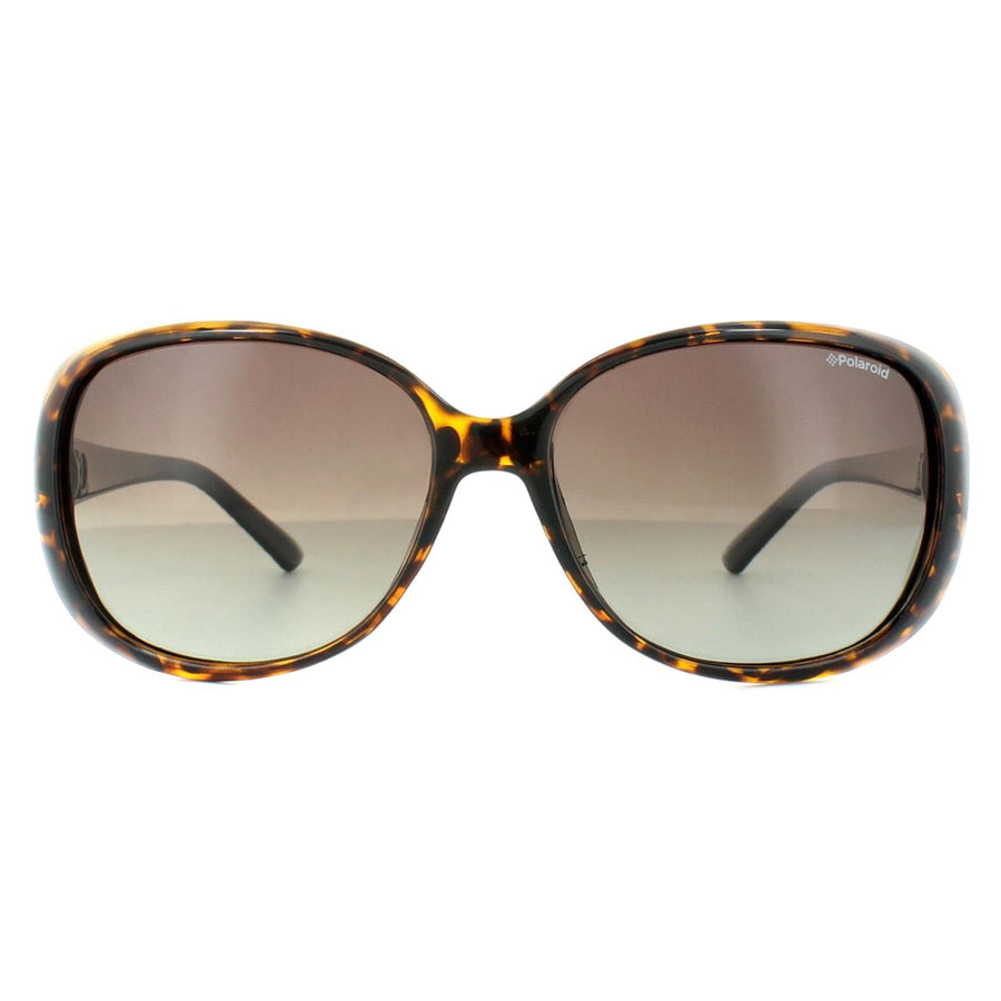 Polaroid Sunglasses X8401A REH S7 Cat.3 Tortoise Aviator Frames 57[]13 145  mm | eBay