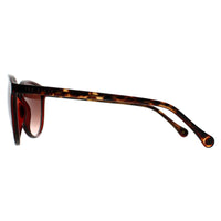 Ted Baker Sunglasses TB1442 Tierney 200 Burgundy Brown Gradient
