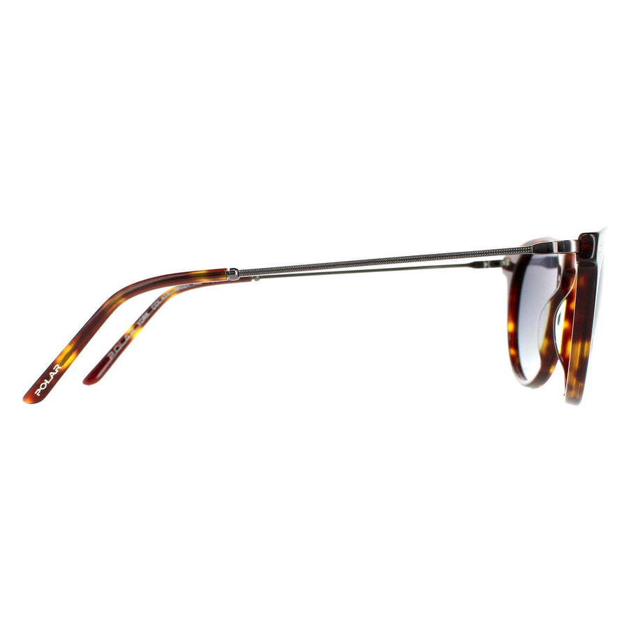 Polar Sunglasses York COL.428 Havana Grey Brown Polarized