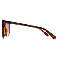 Kate Spade Sunglasses Lauriane 086 HA Brown Grey Gradient