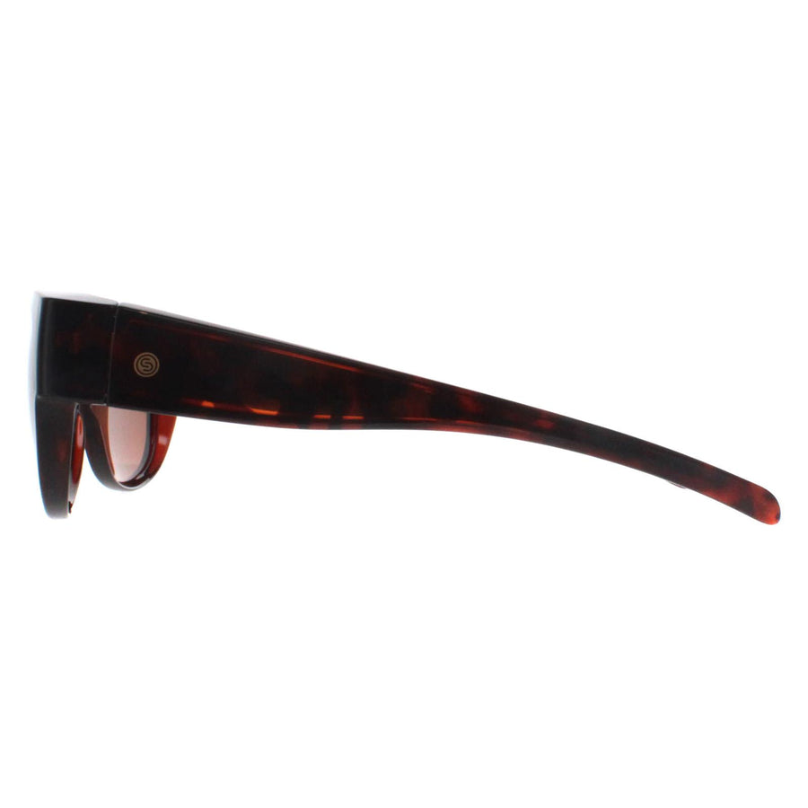 Smarty Sunglasses SA220 0A Brown Tortoise Brown