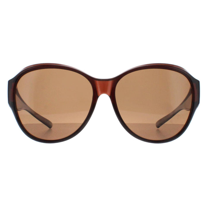 Smarty Sunglasses X2115 B Transparent Brown EF Brown