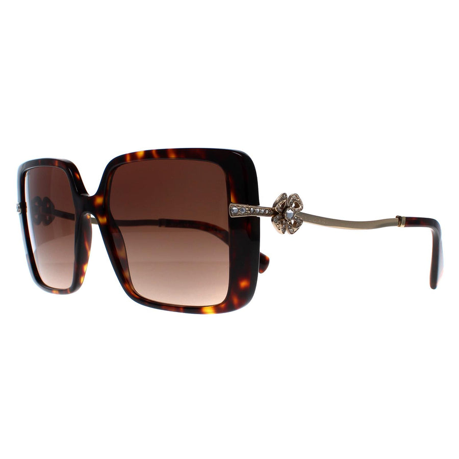 Bvlgari Sunglasses BV8243B 504/13 Havana Brown Gradient