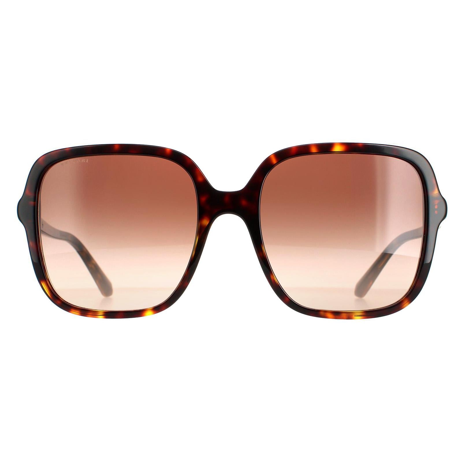 Sunglasses BV8228B 504 13 Havana Dark Gradient