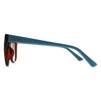 Skechers Sunglasses SE6104 52H Havana Light Blue Brown Gradient Polarized