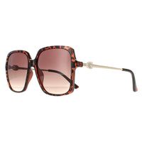 Guess Sunglasses GF6131 52F Dark Havana Brown Gradient