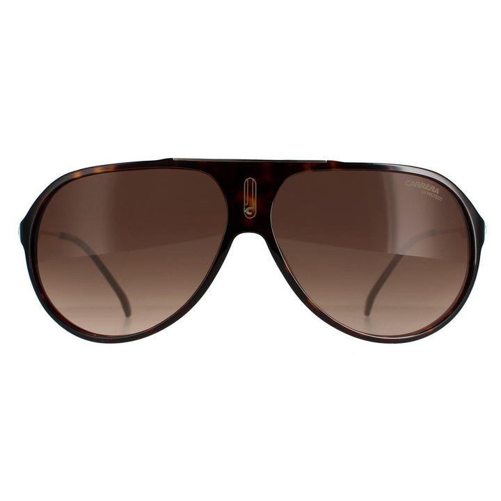 Carrera Sunglasses Hot65 086 HA Dark Havana Brown Gradient