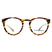 Dolce and Gabbana 3251 Glasses Frames Striped Honey 49