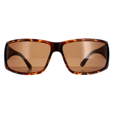 Police Sunglasses SPLB46 Origins 40 0738 Havana Brown