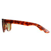 Serengeti Foyt Sunglasses