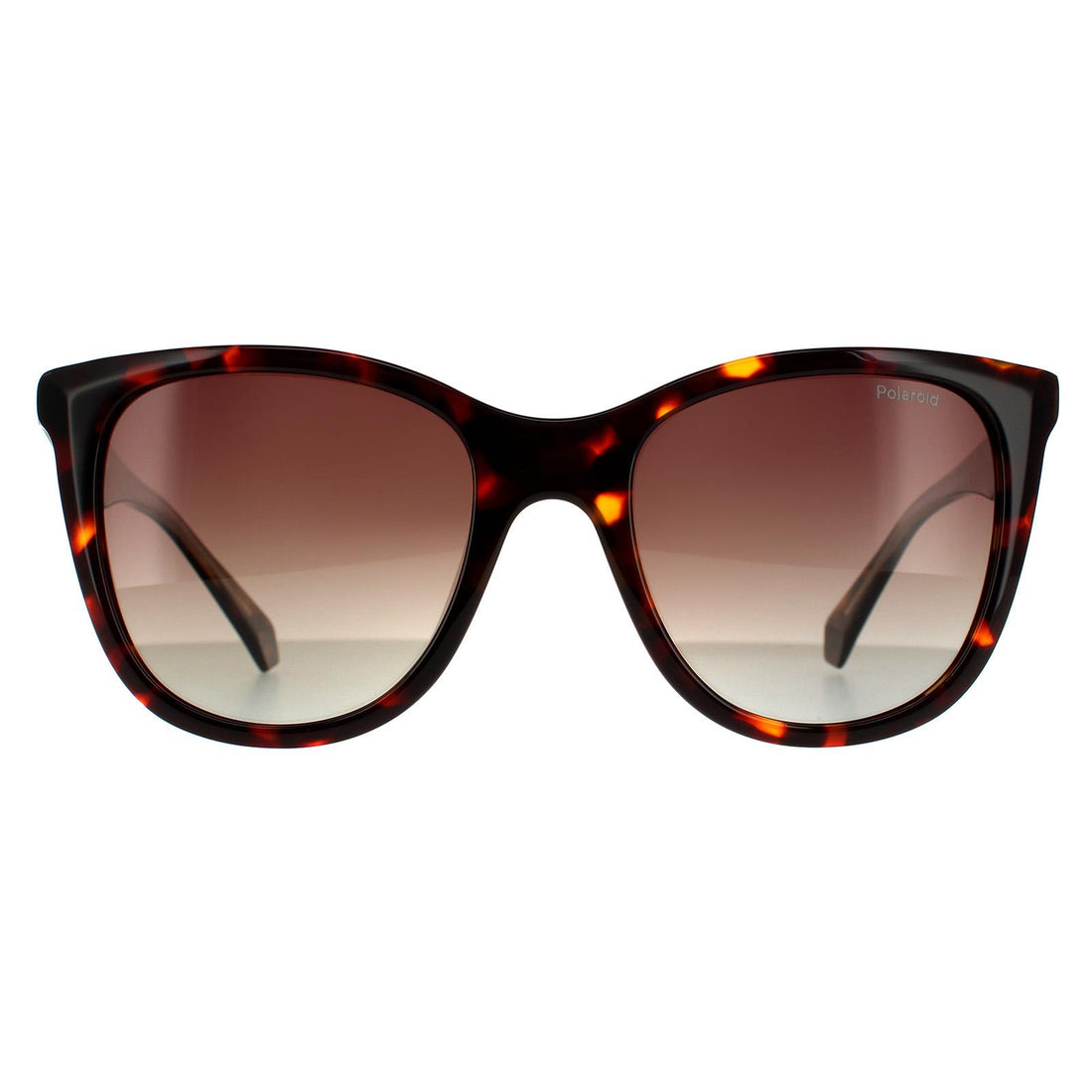 Polaroid Sunglasses PLD 4096/S/X 086 LA Havana Brown Brown Gradient Polarized