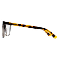 Prive Revaux Glasses Frames Lemon City 5DN Transparent Grey Havana Women