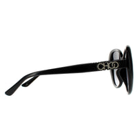 Jimmy Choo AMIRA/G/S Sunglasses