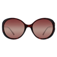 INVU Sunglasses B2117 B Demi Gold Brown Tortoise Brown Polarized