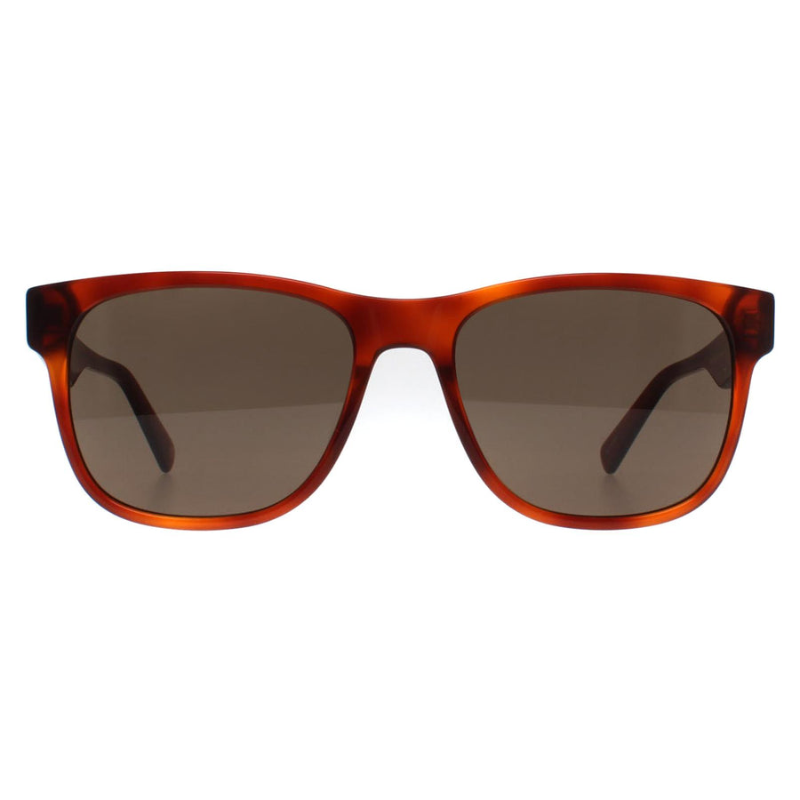 Banana Republic Sunglasses BR 4008/S C9B 70 Havana Honey Brown
