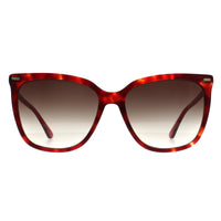 Calvin Klein Sunglasses CK22532S 609 Burgundy Havana Brown Gradient