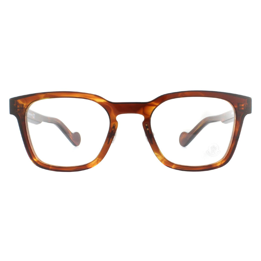 Moncler ML5049 Glasses Frames Havana