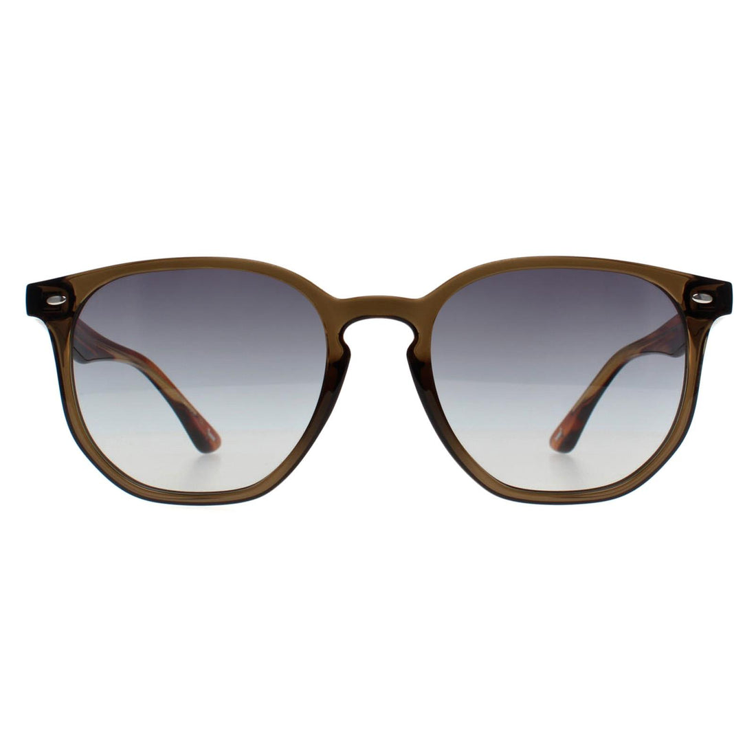 Ted Baker Sunglasses TB1655 Dock 949 Transparent Khaki Brown Striped Brown Grey Gradient