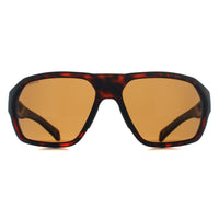 Smith Sunglasses Deckboss N9P L5 Matte Havana Gold Chromapop Polarized Brown