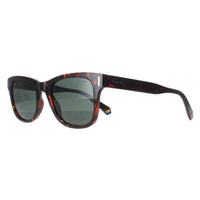 Polaroid Sunglasses PLD 6206/S 086 UC Havana Green Polarized
