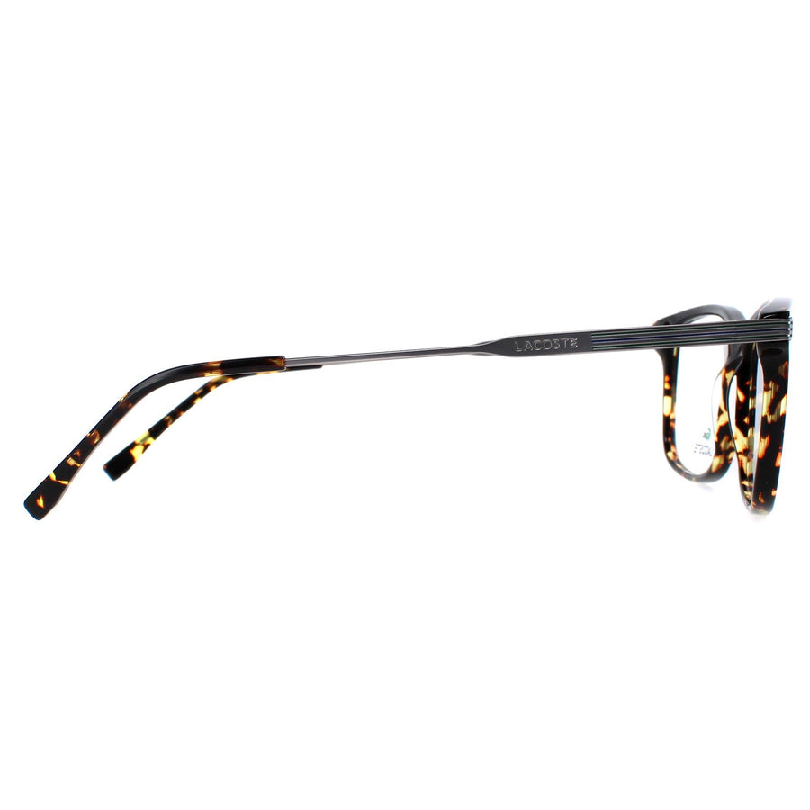 Lacoste gold deals frame glasses