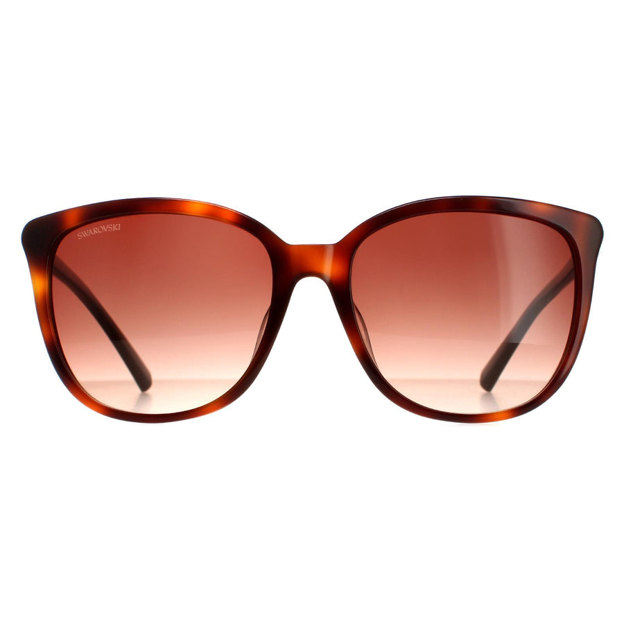 Swarovski SK0146-H Sunglasses Dark Brown Havana / Brown Gradient