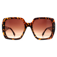 Atum Sunglasses Zouk C2 Shiny Havana Brown Gradient