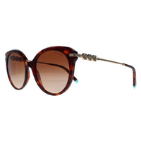 Tiffany Sunglasses TF4189 80023B Havana Brown Gradient