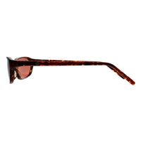 Serengeti Sunglasses Arabela 6801 Tortoise Brown Drivers Photochromic