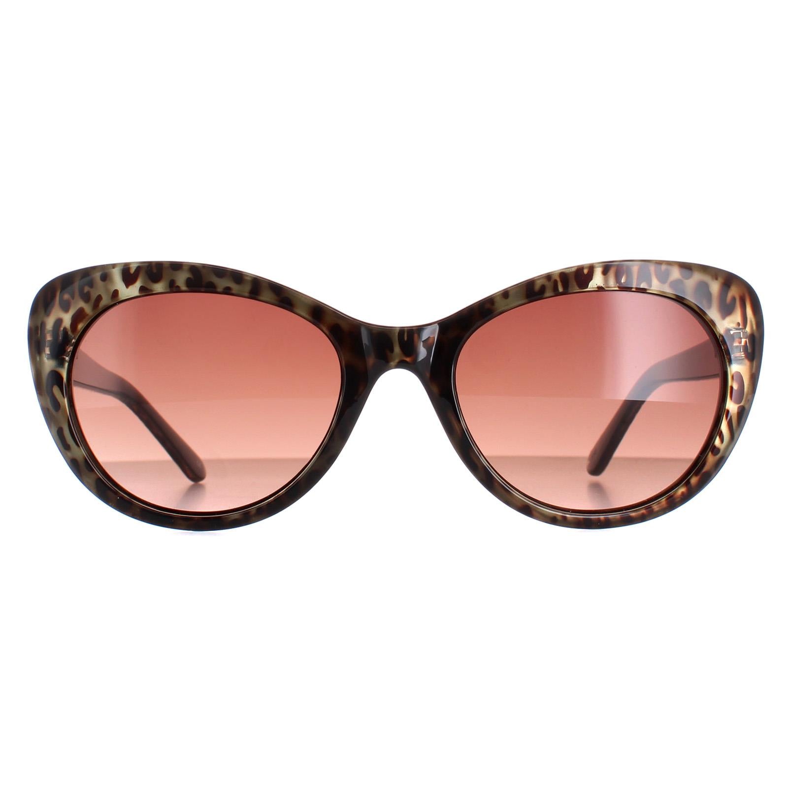 Sunglasses KM5024 115 Leopard Gradient