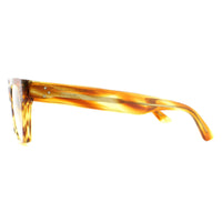 Celine Glasses Frames CL50039I 056 Havana