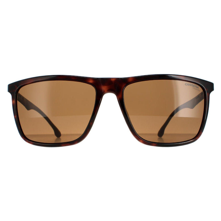 Carrera 8032/S Sunglasses Dark Havana / Bronze Polarized